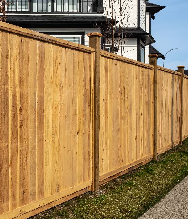 Fence Cleaning